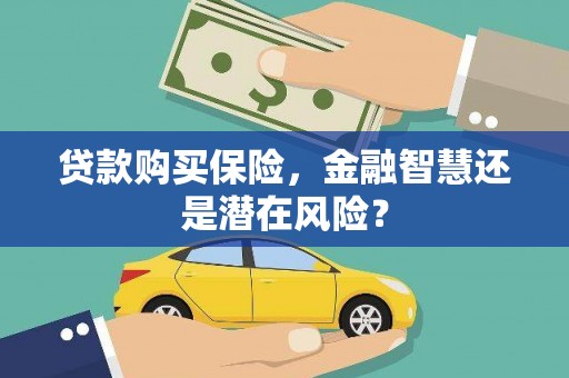 潼关贷款购买保险，金融智慧还是潜在风险？