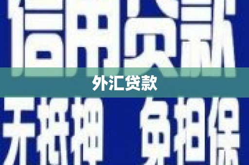 潼关外汇贷款