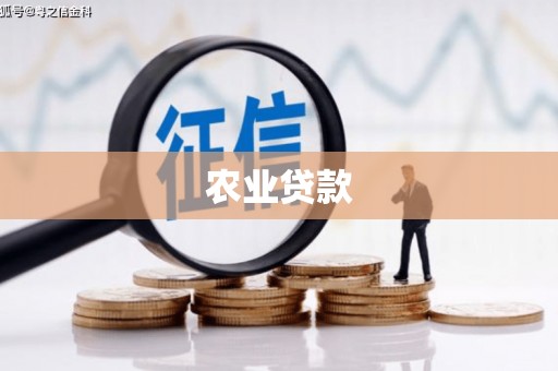 潼关农业贷款