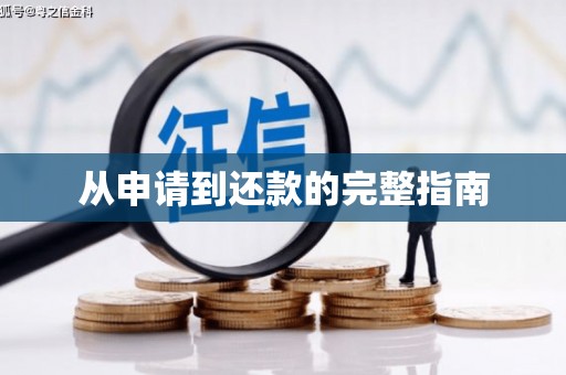 潼关从申请到还款的完整指南