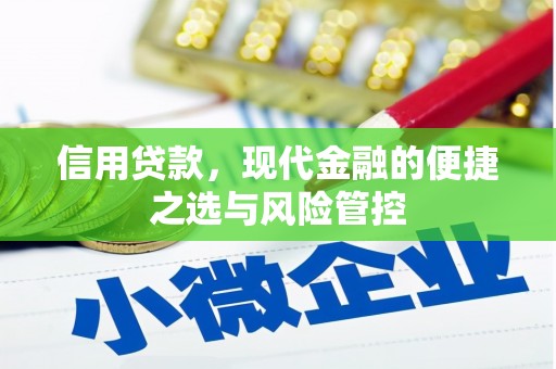 潼关信用贷款，现代金融的便捷之选与风险管控