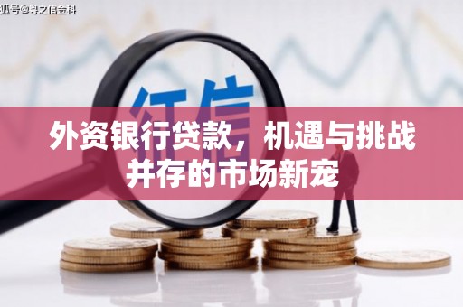 潼关外资银行贷款，机遇与挑战并存的市场新宠