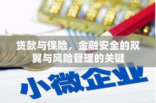 潼关贷款与保险，金融安全的双翼与风险管理的关键