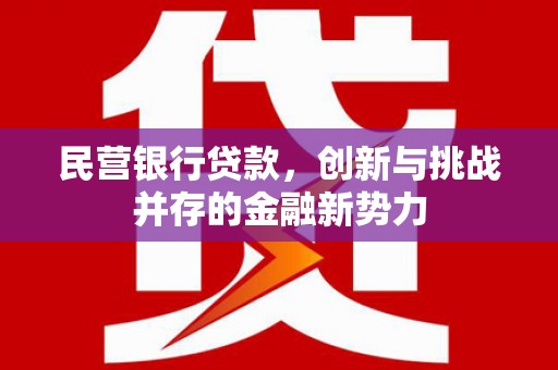 潼关民营银行贷款，创新与挑战并存的金融新势力