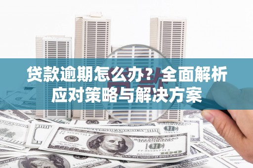 潼关贷款逾期怎么办？全面解析应对策略与解决方案