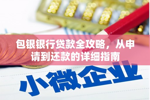 潼关包银银行贷款全攻略，从申请到还款的详细指南