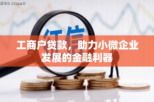 潼关工商户贷款，助力小微企业发展的金融利器