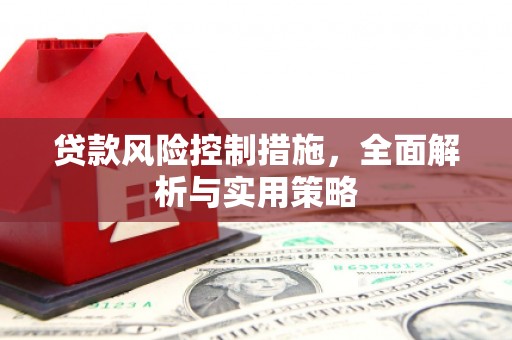潼关贷款风险控制措施，全面解析与实用策略
