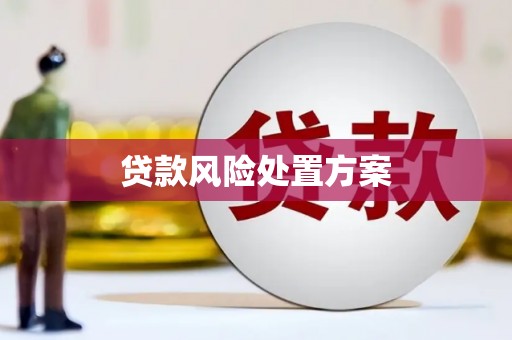 潼关贷款风险处置方案