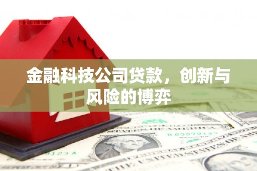 潼关金融科技公司贷款，创新与风险的博弈