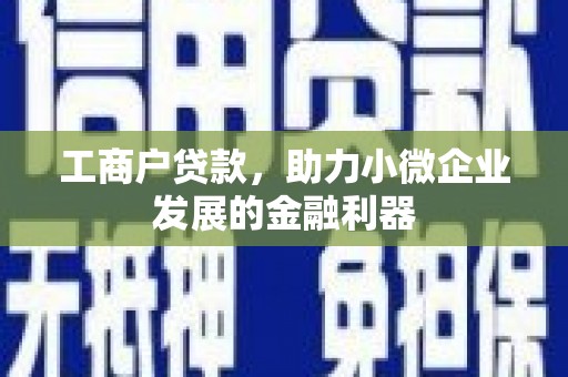 潼关工商户贷款，助力小微企业发展的金融利器