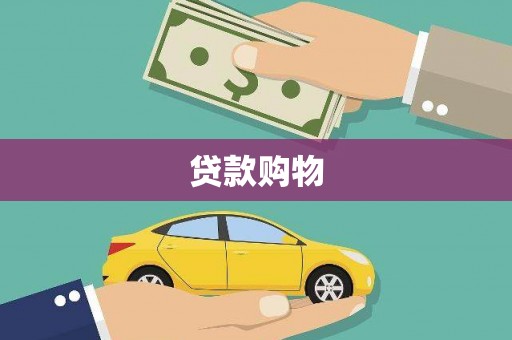 潼关贷款购物