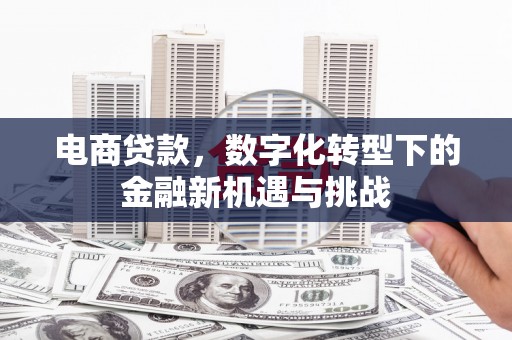 潼关电商贷款，数字化转型下的金融新机遇与挑战