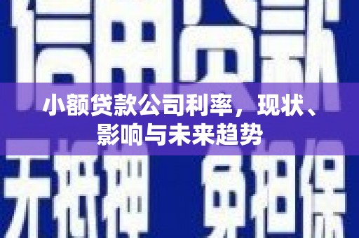 潼关小额贷款公司利率，现状、影响与未来趋势