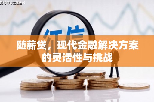 潼关随薪贷，现代金融解决方案的灵活性与挑战