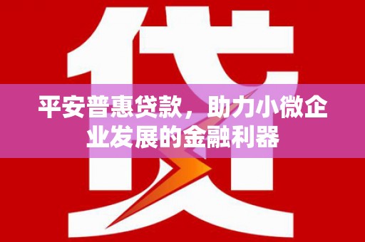 潼关平安普惠贷款，助力小微企业发展的金融利器