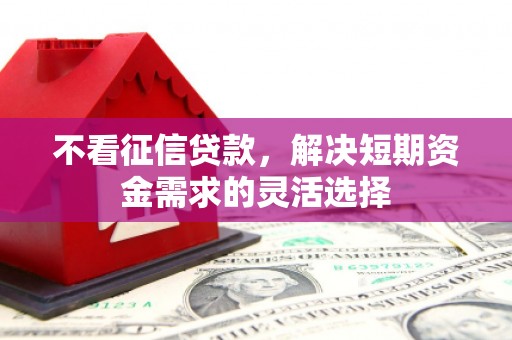 潼关不看征信贷款，解决短期资金需求的灵活选择