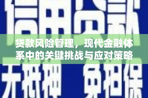 潼关贷款风险管理，现代金融体系中的关键挑战与应对策略