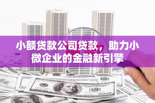 潼关小额贷款公司贷款，助力小微企业的金融新引擎