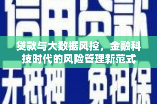 潼关贷款与大数据风控，金融科技时代的风险管理新范式
