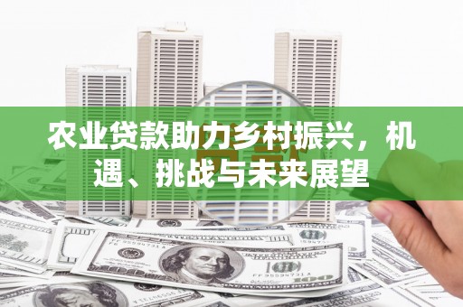 潼关农业贷款助力乡村振兴，机遇、挑战与未来展望