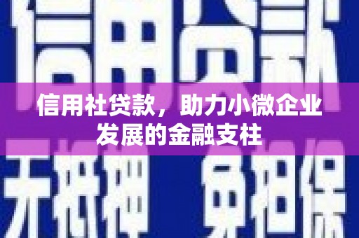 潼关信用社贷款，助力小微企业发展的金融支柱