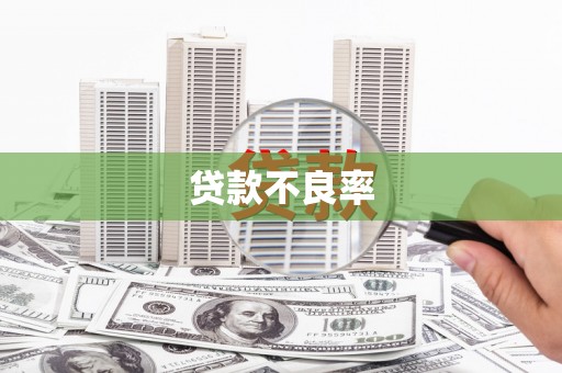 潼关贷款不良率