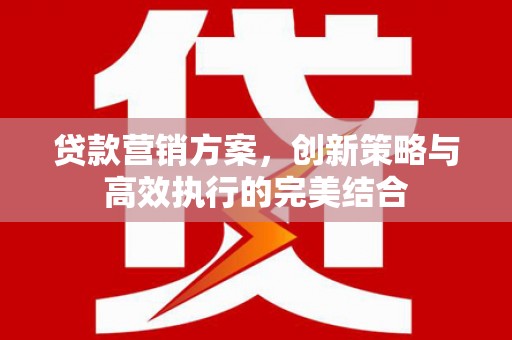 潼关贷款营销方案，创新策略与高效执行的完美结合