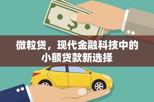 潼关微粒贷，现代金融科技中的小额贷款新选择