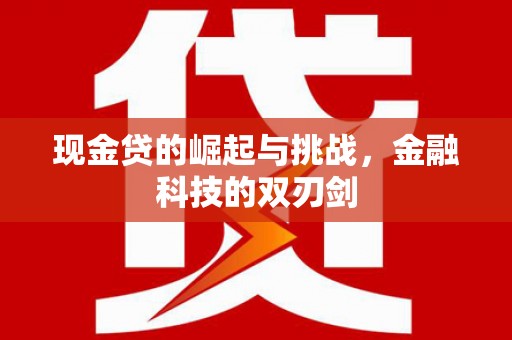 潼关现金贷的崛起与挑战，金融科技的双刃剑