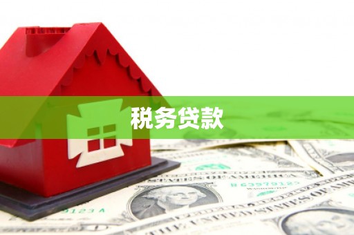 潼关税务贷款
