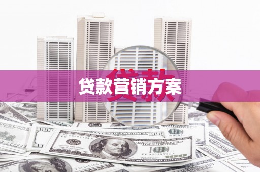 潼关贷款营销方案