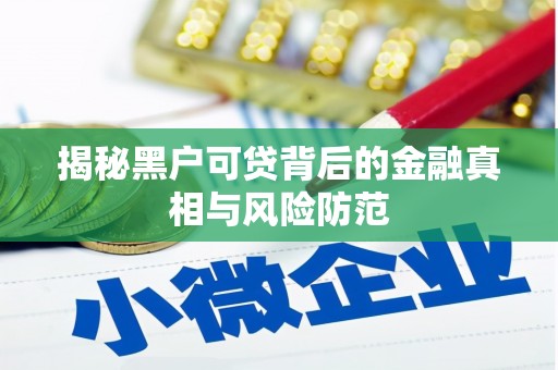 潼关揭秘黑户可贷背后的金融真相与风险防范