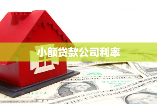 潼关小额贷款公司利率