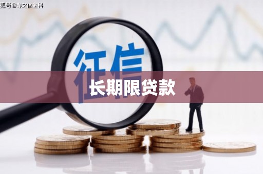 潼关长期限贷款