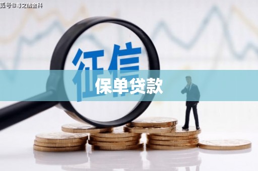 潼关保单贷款