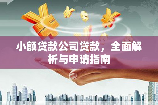 潼关小额贷款公司贷款，全面解析与申请指南