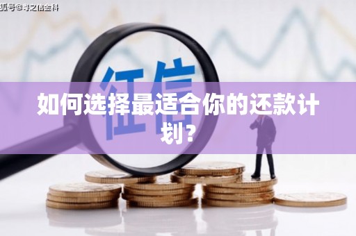 潼关如何选择最适合你的还款计划？