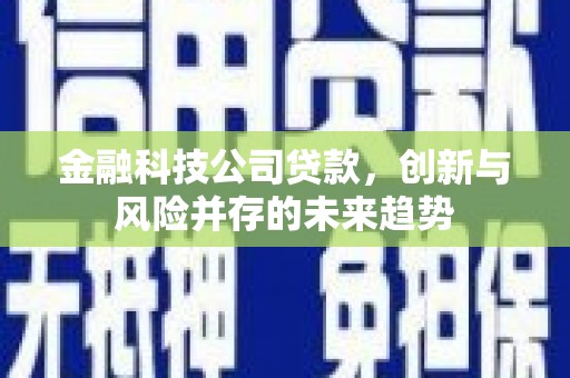 潼关金融科技公司贷款，创新与风险并存的未来趋势