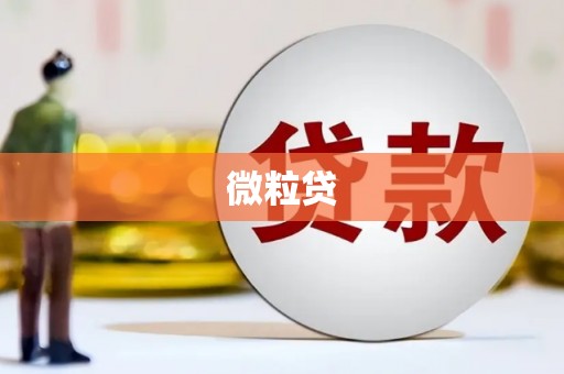 潼关微粒贷