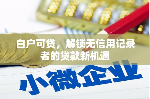 潼关白户可贷，解锁无信用记录者的贷款新机遇
