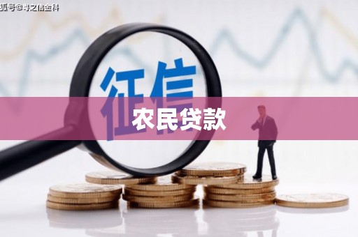 潼关农民贷款