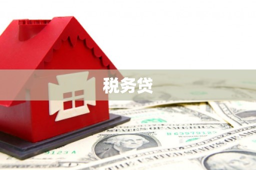 潼关税务贷