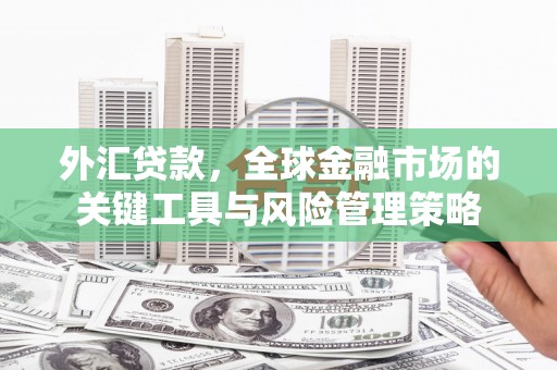 潼关外汇贷款，全球金融市场的关键工具与风险管理策略