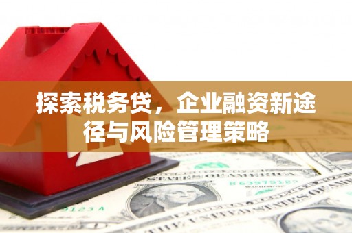 潼关探索税务贷，企业融资新途径与风险管理策略