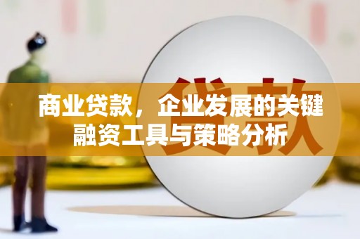 潼关商业贷款，企业发展的关键融资工具与策略分析