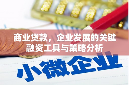 潼关商业贷款，企业发展的关键融资工具与策略分析