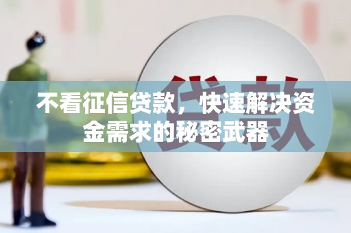 潼关不看征信贷款，快速解决资金需求的秘密武器