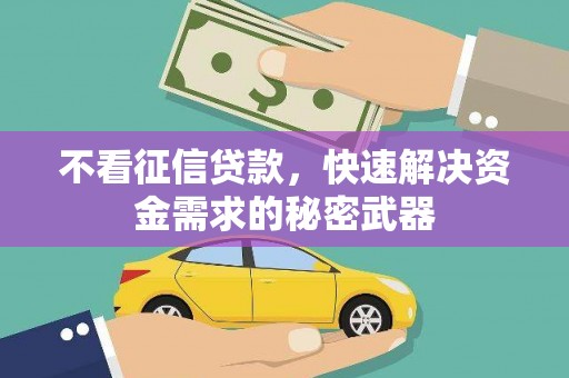 潼关不看征信贷款，快速解决资金需求的秘密武器