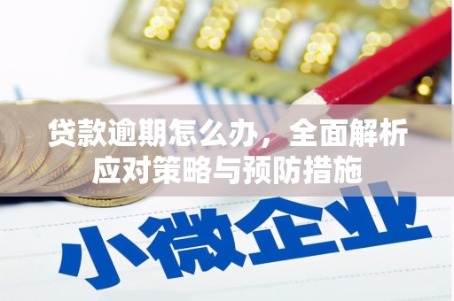 潼关贷款逾期怎么办，全面解析应对策略与预防措施